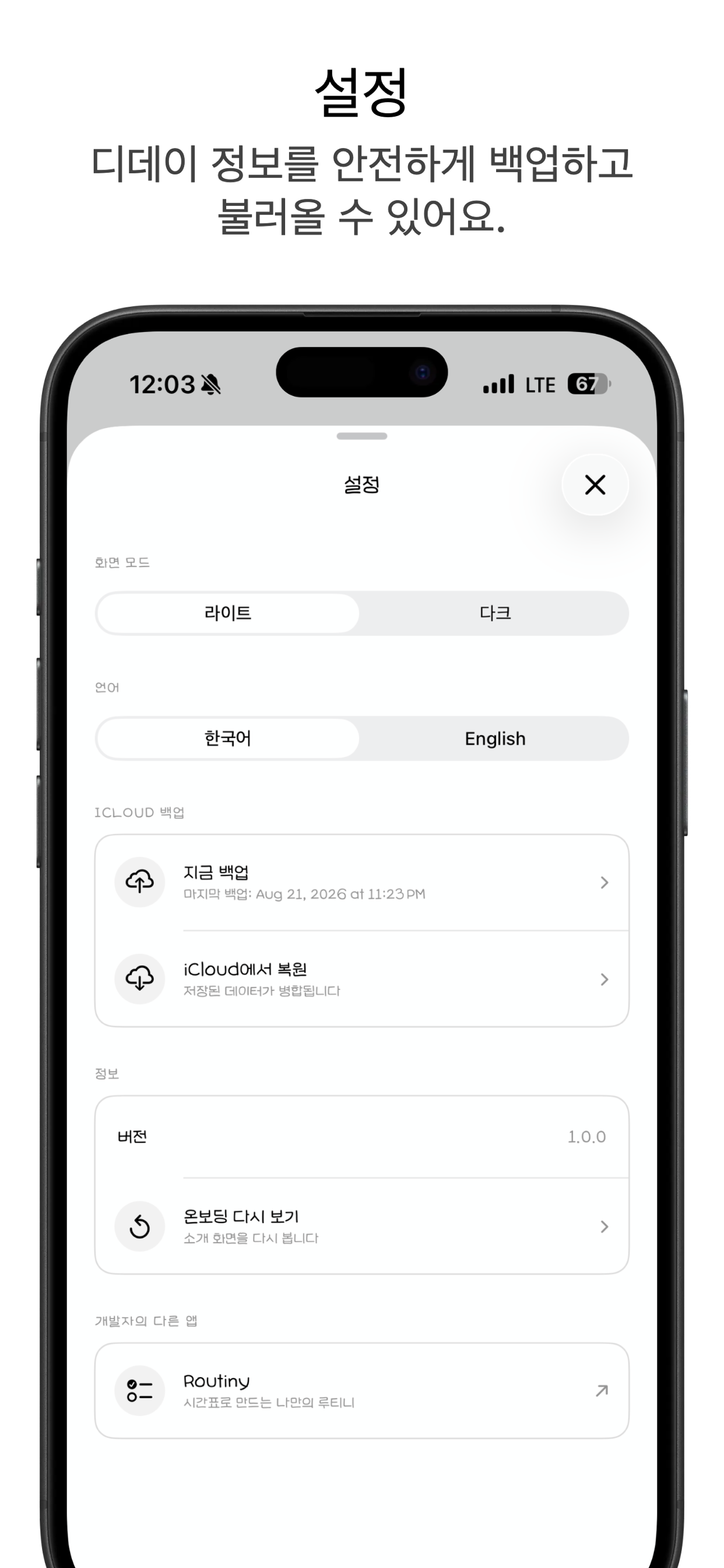 테마와 iCloud 백업을 관리하는 설정 화면